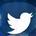 X Twitter